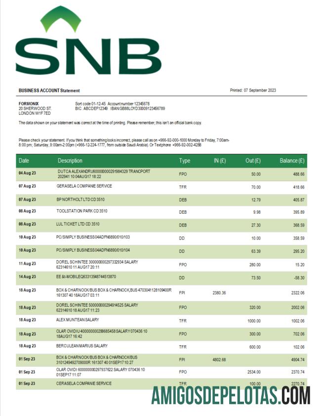 Em branco SNB Bank Enterprise Statement modelo Word e PDF